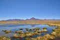 Atacama desert laguna salar panorama Andes chile south america Royalty Free Stock Photo