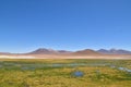 Atacama desert laguna salar panorama Andes chile south america Royalty Free Stock Photo