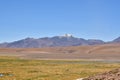 Atacama desert laguna salar panorama Andes chile south america Royalty Free Stock Photo