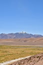 Atacama desert laguna salar panorama Andes chile south america Royalty Free Stock Photo