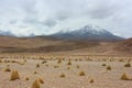 Atacama Desert Royalty Free Stock Photo