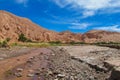 Atacama desert river landscape Royalty Free Stock Photo