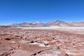 The Atacama Desert\'s Beautiful Piedras Rojas