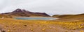 Atacama Panorama - Lagunas Altiplanicas