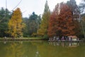 Ataturk Arboretum. Autumn trees around lake.