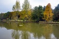 Ataturk Arboretum. Autumn trees around lake.