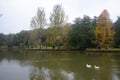 Ataturk Arboretum. Autumn trees around lake.