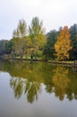 Ataturk Arboretum. Autumn trees around lake.