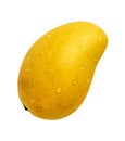 Ataulfo Mango (with clipping path) Royalty Free Stock Photo
