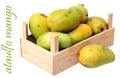 Ataulfo mango Royalty Free Stock Photo
