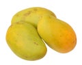 Ataulfo mango Royalty Free Stock Photo