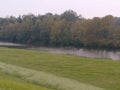 Atchafalaya basin in Louisiana