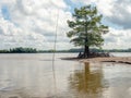 Atchafalaya National Wildlife Refuge Royalty Free Stock Photo