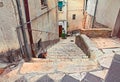 Atessa, Abruzzo, Italy: corner of the old town