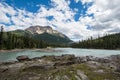 Athabasca Falls in the Canadian Rockies along the scenic Icefields Parkway, between Banff National Park and Jasper National Park