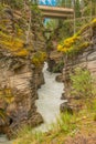 The Athabasca Falls, canyon, and Athabasca River in Jasper National Park Royalty Free Stock Photo
