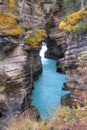 Athabasca Falls canyon Royalty Free Stock Photo