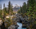 Athabasca Falls flowing in canyon with rocky mountains in autumn forest at Jasper national park Royalty Free Stock Photo