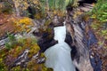 Athabasca Falls Gorge - Canada