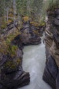 Athabasca Falls in the Rocky Mountains of Canada. Between the cliffs above the water stuck logs. Cloudy day in Jasper Royalty Free Stock Photo