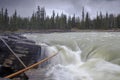 Athabasca Falls in the Rocky Mountains of Canada. Between the cliffs above the water stuck logs. Cloudy day in Jasper Royalty Free Stock Photo