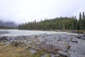 Athabasca Falls in the Rocky Mountains of Canada. Between the cliffs above the water stuck logs. Cloudy day in Jasper Royalty Free Stock Photo