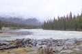 Athabasca Falls in the Rocky Mountains of Canada. Between the cliffs above the water stuck logs. Cloudy day in Jasper Royalty Free Stock Photo