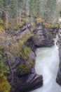 Athabasca Falls in the Rocky Mountains of Canada. Between the cliffs above the water stuck logs. Cloudy day in Jasper Royalty Free Stock Photo