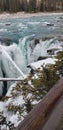 Athabasca falls winter cold ice