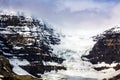 Athabasca Glacier Royalty Free Stock Photo