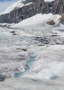 Athabasca Glacier with Columbia Icefield Royalty Free Stock Photo