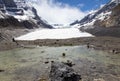 Athabasca Glacier, Columbia Icefield, Icefields Parkway, Canada Royalty Free Stock Photo