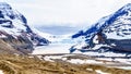 The Athabasca Glacier in the Columbia Icefields in Jasper National Park, Alberta, Canada Royalty Free Stock Photo