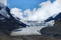 Athabasca Glacier, Jasper National Park Royalty Free Stock Photo