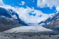 Athabasca Glacier in Jasper National Park Royalty Free Stock Photo