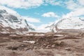 Athabasca Glacier in Alberta during the springtime