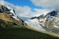 Athabasca glacier from Wilcox Pass Royalty Free Stock Photo