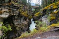 Athabasca river and bank Royalty Free Stock Photo