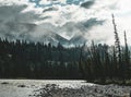 The Athabasca river flows by the Canadian rocky mountains in Alberta, Canada Royalty Free Stock Photo