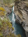 Athabasca River in Jasper National Park