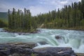 Athabasca River at Sunwapta Falls