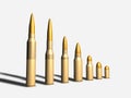 Various types of bullets