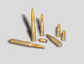 Various types of bullets