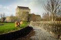 Athenry Castle and playing dog Royalty Free Stock Photo