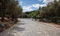 Athens, Greece. Cobblestone pathway to Acropolis and greek flora, in a sunny spring day Royalty Free Stock Photo