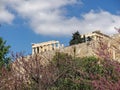 Athens, Greece, Parthenon temple on acropolis hill and lilac trees with violet flowers. Royalty Free Stock Photo