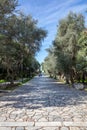 Athens, Greece. People walk on a cobblestone pathway at Filopappou hill