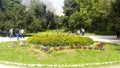 Tourists visiting Athens national garden