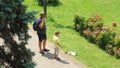 Father and son look at the white cat in Banja Koviljaca spa and health center, beautiful park in the summer, sunny day