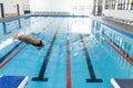 Athlete dives into an indoor swimming pool Royalty Free Stock Photo